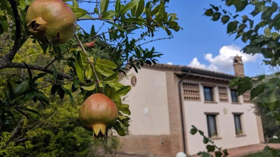 La Fonte Di Montebuono *