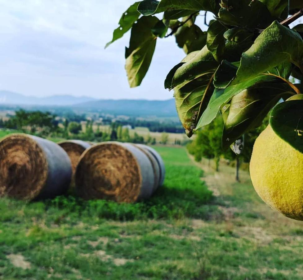 Ferienhaus La Fonte Di Montebuono Magione